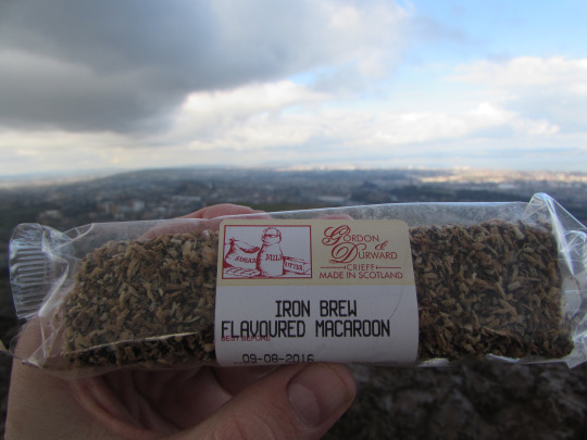 tumblr_inline_o6hztoyzvs1qzup43_540