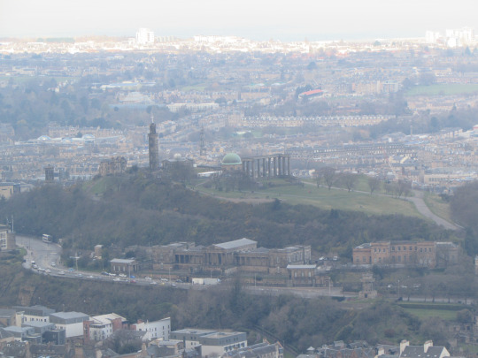 tumblr_inline_o6hztuec8x1qzup43_540