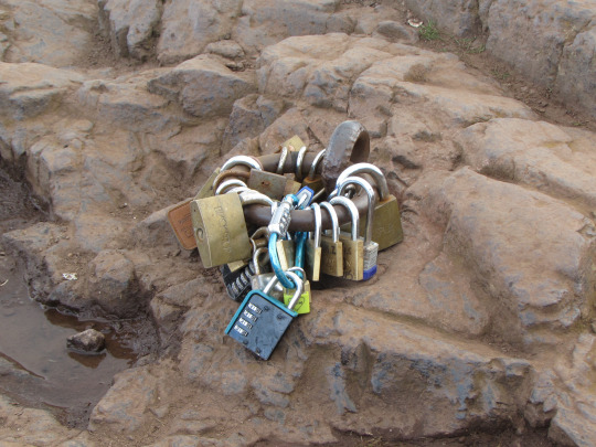 tumblr_inline_o6hzudnhga1qzup43_540