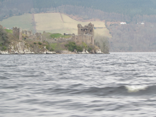 tumblr_inline_o6k6glaeh41qzup43_500