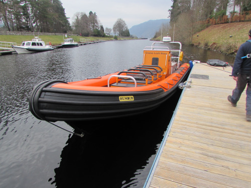 tumblr_inline_o6k6gplbwn1qzup43_500