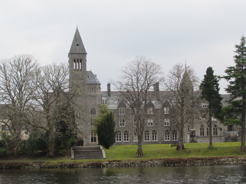 tumblr_inline_o6k6gygmgg1qzup43_500