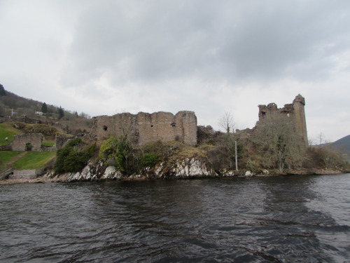 tumblr_inline_o6k6po31c31qzup43_500