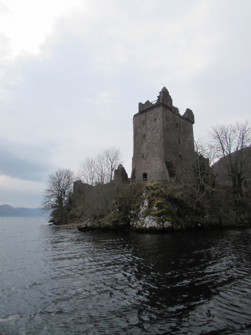 tumblr_inline_o6k6pouojq1qzup43_500