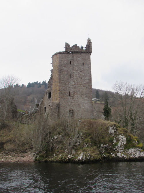 tumblr_inline_o6k6psu2ne1qzup43_500