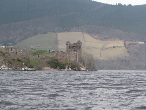 tumblr_inline_o6k6pwnp3j1qzup43_500