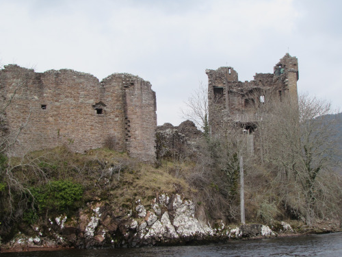 tumblr_inline_o6k6q2ysdj1qzup43_500