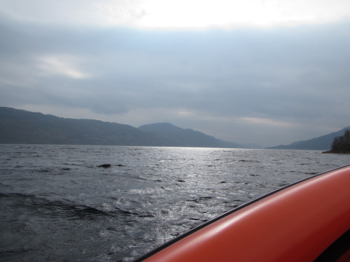 tumblr_inline_o6k6t40tll1qzup43_500