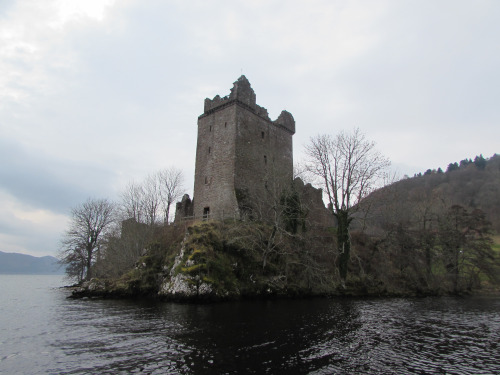 tumblr_inline_o6k6t4leco1qzup43_500