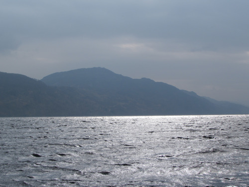 tumblr_inline_o6k6t8rmvp1qzup43_500