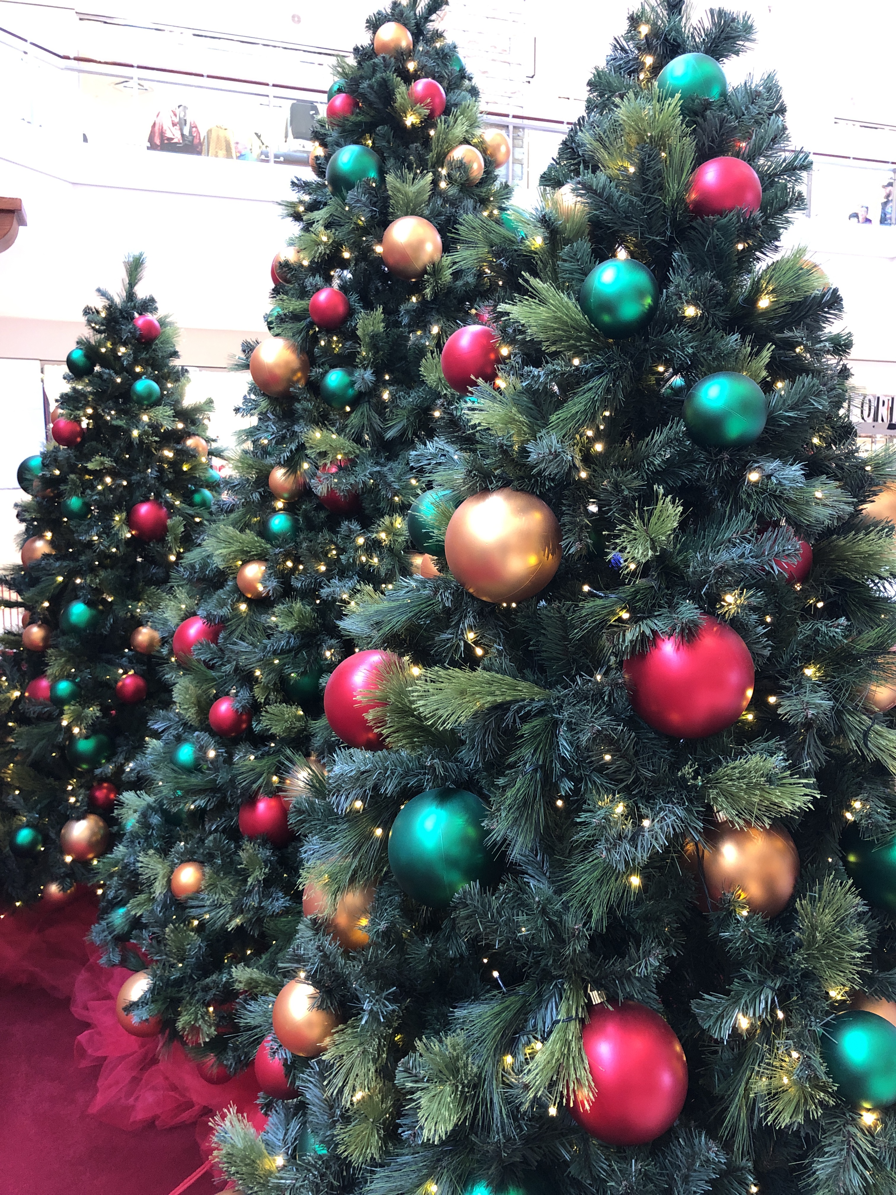 289BA16F-DDF8-43FC-BE2E-C37B8E891B74