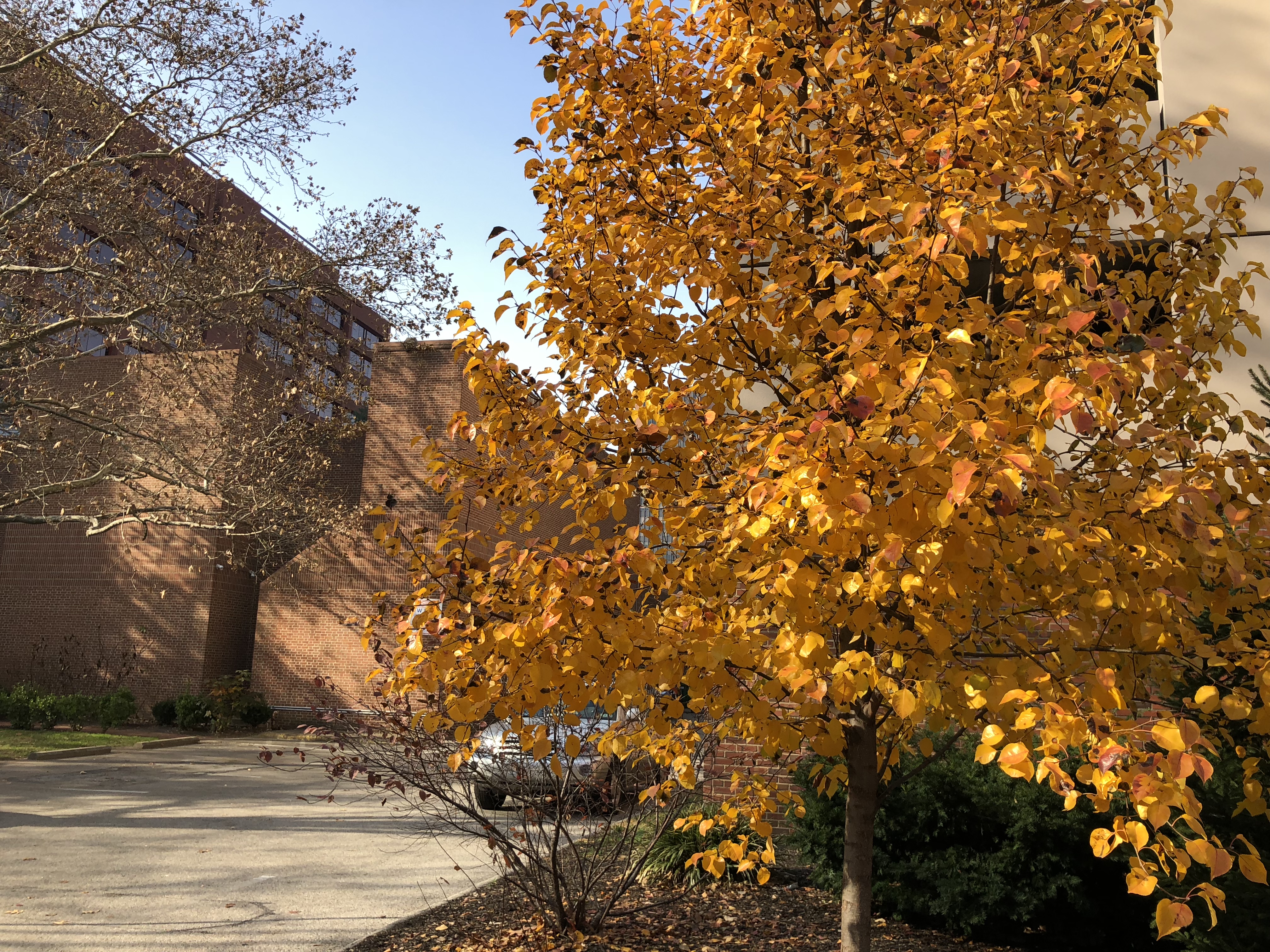 3D2E396B-F5C8-42ED-A03A-53DEF954E3EE