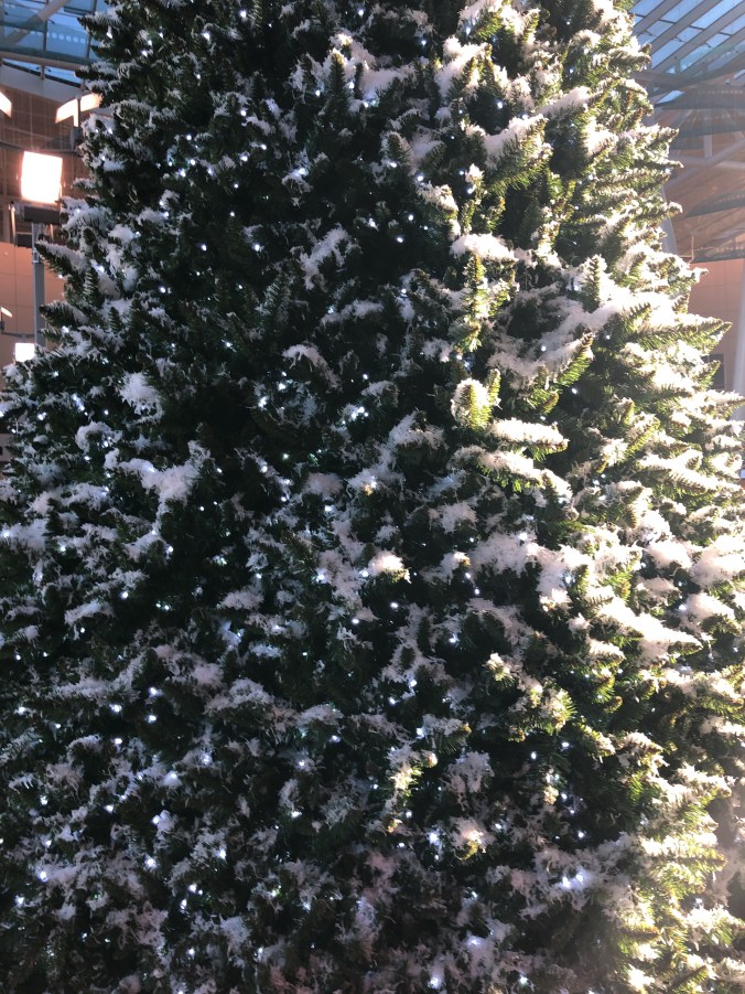 AA3271D1-6FC7-40B6-A486-216F47803DB2