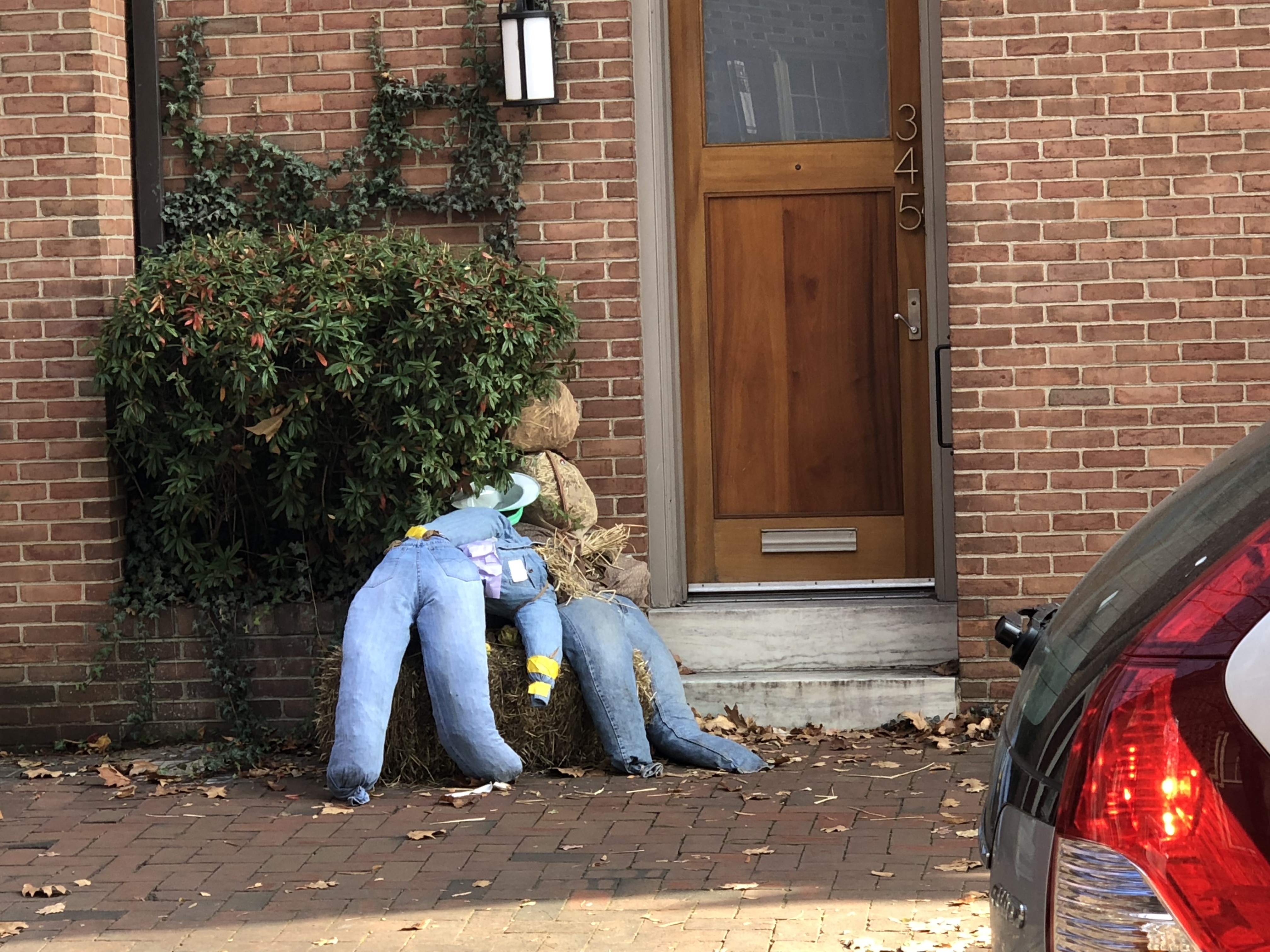 D55BC07B-B558-4412-AFD0-1A4D3ECF854C